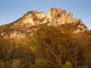 Seneca Rocks summit lit in the sunset with trees in fall colors in the foreground