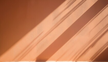 Warm sunlight casts long shadows on a peach-colored wall.