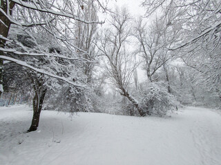 Fototapeta premium Winter Landscape of South Park in city of Sofia, Bulgaria