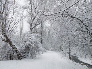 Winter Landscape of South Park in city of Sofia, Bulgaria