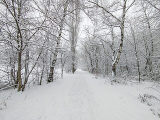 Winter Landscape of South Park in city of Sofia, Bulgaria