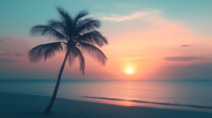 Obraz premium silhouette palm tree in the beach