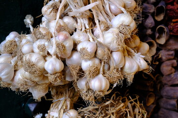 Close-up view of garlic hanging in bunches at the market. Healthy diet. Garlic lowers blood pressure. Organic natural nutrition.
