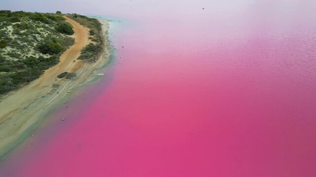 Vibrant pink hues of Hutt Lagoon captured from above, a natural wonder in Western Australia