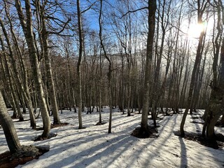 The last remnants of spring snow after a long and harsh mountain winter - Northern Velebit National...