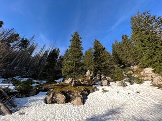 The last remnants of spring snow after a long and harsh mountain winter - Northern Velebit National...