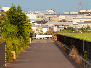 Fototapeta premium 早朝の八尾空港南遊歩道と街の風景