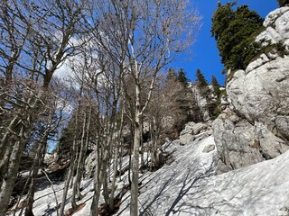 The last remnants of spring snow after a long and harsh mountain winter - Northern Velebit National...