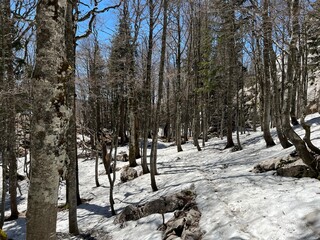 The last remnants of spring snow after a long and harsh mountain winter - Northern Velebit National...