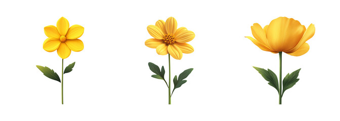 Bright Yellow Flowers Collection on Transparent Background
