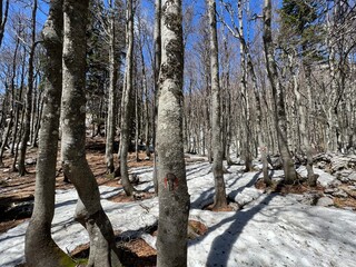 The last remnants of spring snow after a long and harsh mountain winter - Northern Velebit National...