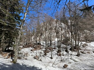 The last remnants of spring snow after a long and harsh mountain winter - Northern Velebit National...