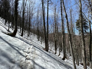 The last remnants of spring snow after a long and harsh mountain winter - Northern Velebit National...