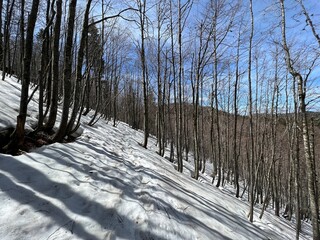 The last remnants of spring snow after a long and harsh mountain winter - Northern Velebit National...