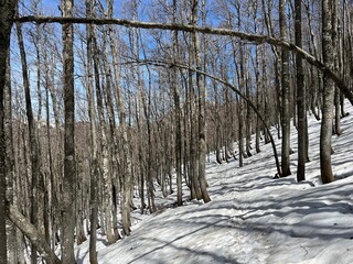 The last remnants of spring snow after a long and harsh mountain winter - Northern Velebit National...
