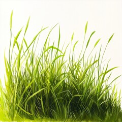 Obraz premium Vibrant Green Grass Meadow: Lush Spring Nature Scene