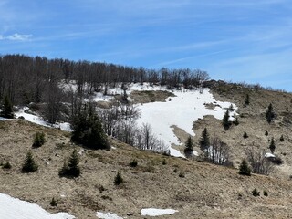 The last remnants of spring snow after a long and harsh mountain winter - Northern Velebit National Park, Croatia (Posljednji proljetni ostaci snijega nakon duge i o&scaron;tre zime - NP Sjeverni Velebit)