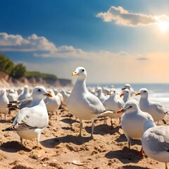 seagull on the beach under sunlight