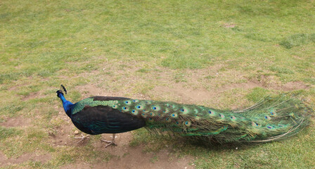 Stansted Mountfitchet Castle, Essex, United Kingdom, May 31, 2023, Views from Mountfitchet Castle