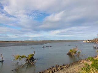 Malabon dike on a cold January 2025 morning