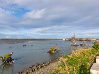 Malabon dike on a cold January 2025 morning
