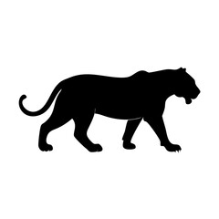 lion vector illustration