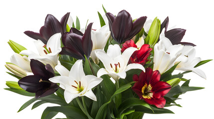 Vibrant bouquet of lilies in white, black, and red.  Perfect for a striking floral arrangement or special occasion.
