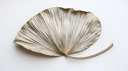 Dried palm leaf isolated on white background.  Minimalist botanical image, perfect for home decor, nature themes, or  wellness concepts. Elegant and simple.