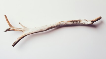 Weathered Driftwood Branch Isolated On White Background
