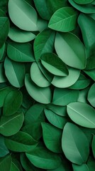 Close-up of fresh green leaves forming a dense and smooth texture, creating a calming and natural visual