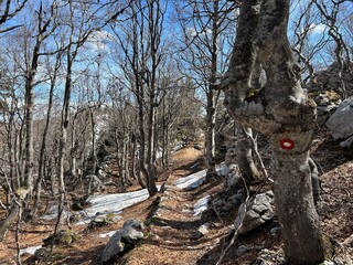 Premuzic hiking trail or Premuzic Trail - Northern Velebit National Park, Croatia or Premuzic-Wanderweg or Premuzic's Trail (Pješački planinarski put Premužićeva staza - NP Sjeverni Velebit, Hrvatska)