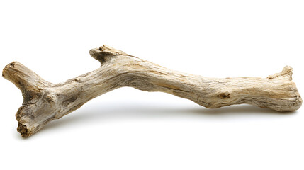 Naklejka premium A weathered, light-brown piece of driftwood, isolated on a white background. Its curved shape and rough texture make it visually interesting.