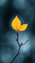Naklejka premium Close-up of a small branch with two vibrant yellow leaves against a soft blue bokeh background, symbolizing simplicity and natural beauty.