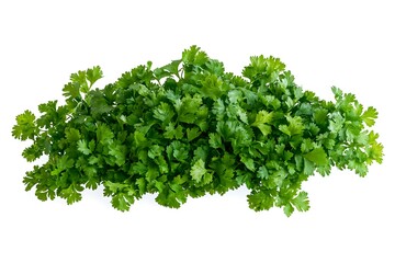 Obraz premium parsley in a bowl on a white background