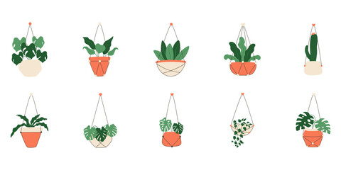 Hanging Potted Houseplant Illustration Set