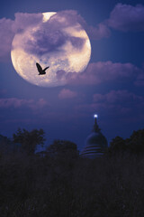 The Majestic Night Sky features a radiant Moon accompanied by the Silhouette of a Monument