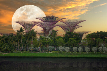 Witness the breathtaking and stunning Supermoon illuminating the Supertree Grove in Singapore