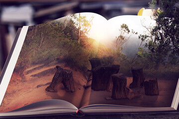 The Stunning Beauty of Nature Captured Perfectly in an Impressive Open Book Display