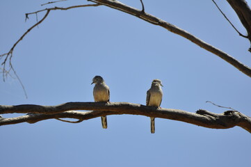 Outback QLD 