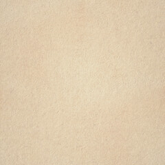 Kraft paper in beige tones. Subtle petals and fibers motif. Best for wallpapaer, wrapping paper, background for graphic design. 