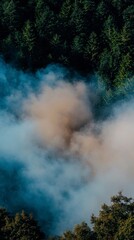 Smoky Forest Landscape  Aerial View of Fog  Trees  Nature