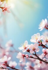 Delicate Pink Blossoms Blooming Under a Spring Sky
