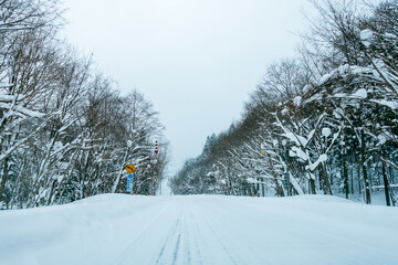 Hokkaido Bibai-Furano Line Rd 135 covered with snow in winter,the Japanese on the traffic sign reads "Tobetsu City Bibai to Furano Route 135"