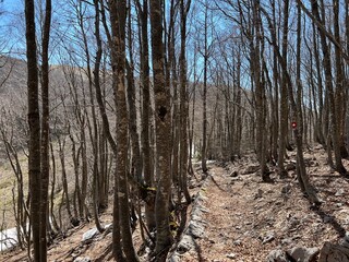 Premuzic hiking trail or Premuzic Trail - Northern Velebit National Park, Croatia or Premuzic-Wanderweg or Premuzic's Trail (Pješački planinarski put Premužićeva staza - NP Sjeverni Velebit, Hrvatska)