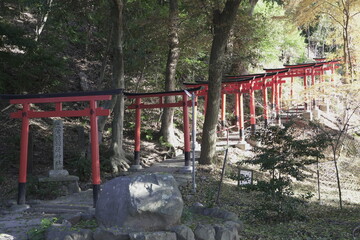 京都の上賀茂神社の風景