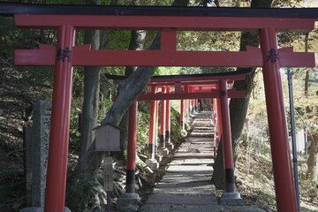 京都の上賀茂神社の風景