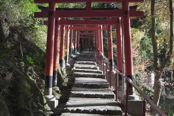 Fototapete Rund Torii Tore 京都の上賀茂神社の風景  © hiroyasu4412