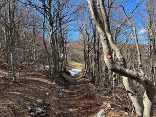 Premuzic hiking trail or Premuzic Trail - Northern Velebit National Park, Croatia or Premuzic-Wanderweg or Premuzic's Trail (Pješački planinarski put Premužićeva staza - NP Sjeverni Velebit, Hrvatska)
