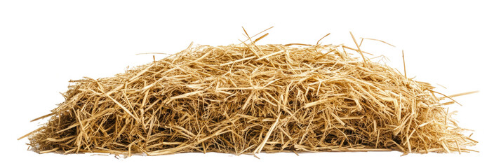 hay bale isolated on white background