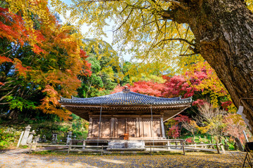 秋の富貴寺　大分県豊後高田市　Fukiji temple in autumn. Oita Pref, Bungoono City.